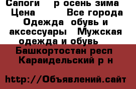 Сапоги 35 р.осень-зима  › Цена ­ 700 - Все города Одежда, обувь и аксессуары » Мужская одежда и обувь   . Башкортостан респ.,Караидельский р-н